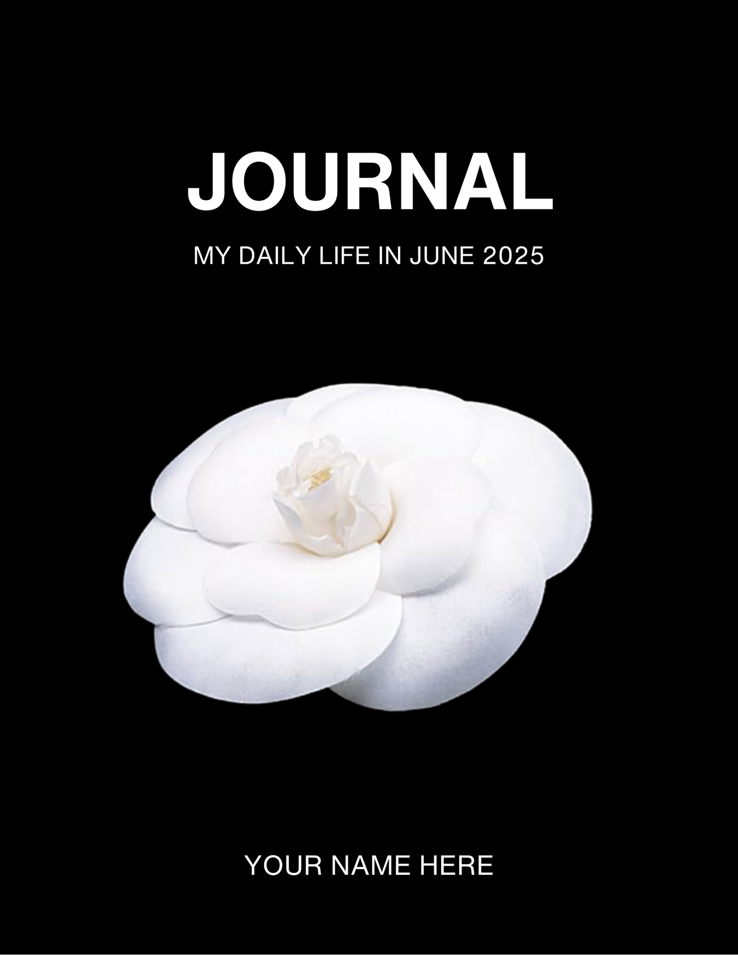 Daily Journal
